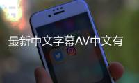 最新中文字幕AV中文有码AV专